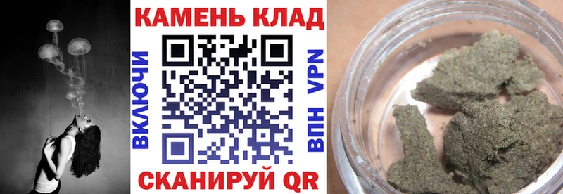 Купить где  Старая Русса  ГАШ VHQ 