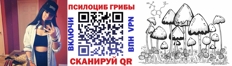 Купить  Старая Русса  Галлюциногенные грибы мухоморы 