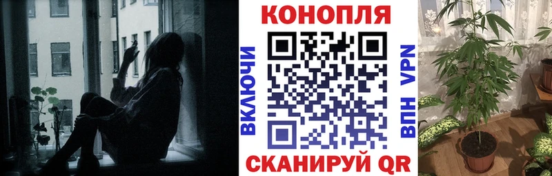 Бошки Шишки семена  Купить  Старая Русса 